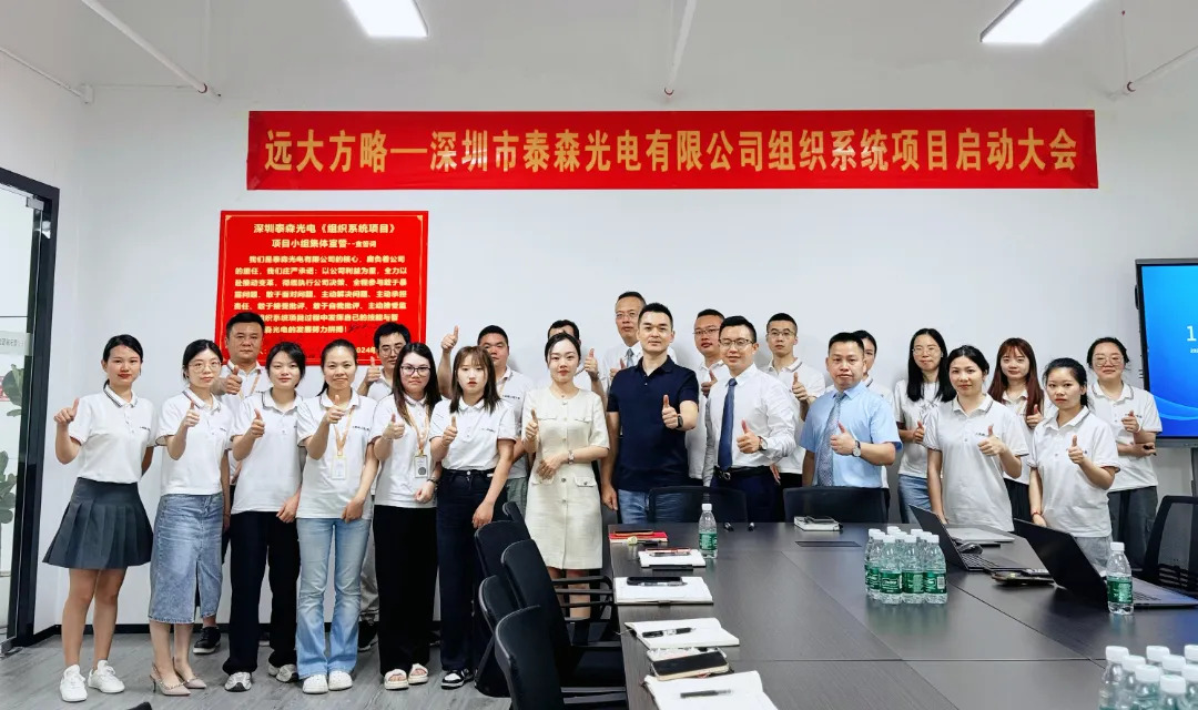 LED显示屏行业 | 泰森光电携手BSport体育官网启动《组织系统》咨询项目
